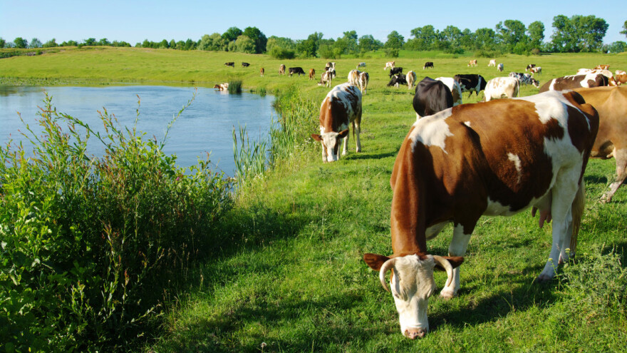Stiže promjena vremena i temperature iznad prosjeka
