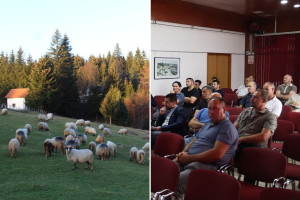 Ovčari i svinjari upoznati s novim mjerama na farmama: Može se opstati!