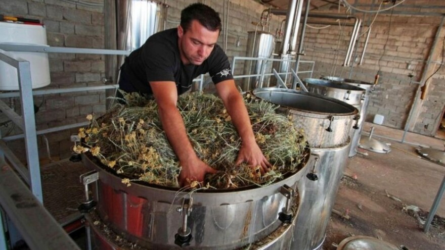 Destilerije pretrpane smiljem, fale kapaciteti