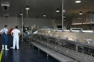 Projekti proizvodnje zdrave hrane u Zagori