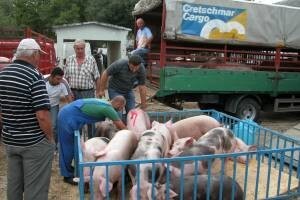 U Zadvarju robnostočni sajam već 200 godina