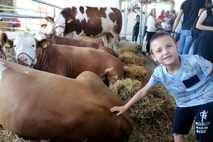 Današnja djeca ne znaju šta je krava, a veterinari neće na selo?