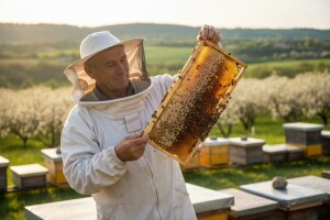 Devet tisuća hrvatskih pčelara spremno za EU