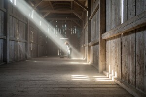 Dezinfekciija tavana i ambara prije žetve