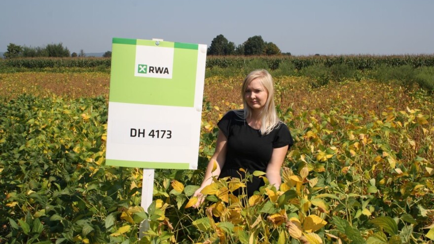 GALA PZO ili DH 4173 - RWA soje ostvarile odlične prinose na devet lokacija!