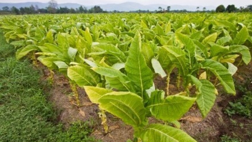 Izgledi za Hrvatsku za 17.10.2014-19.10.2014