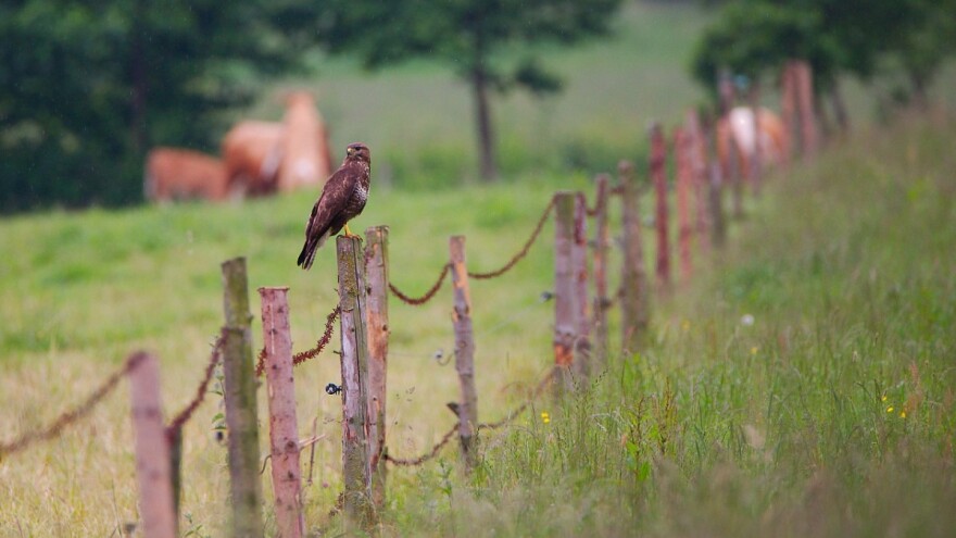 Temperature osjetno iznad prosjeka, no prevrtljivi travanj donosi i kišu