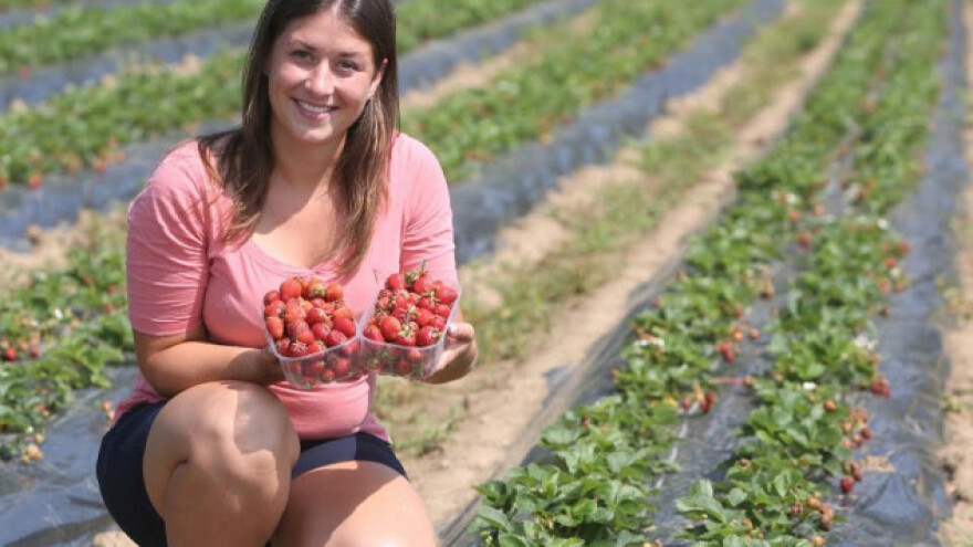 dm širi suradnju s hrvatskim OPG-ovima