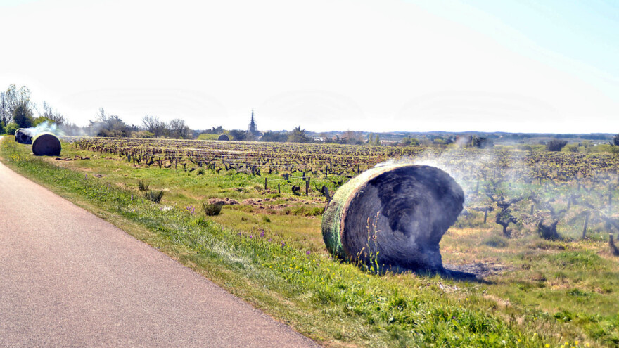 Ostali bez polovine roda vinove loze - Francuskoj nisu pomogli ni helikopteri