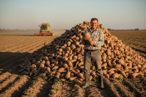 Digestija spasila proizvođače šećerne repe!