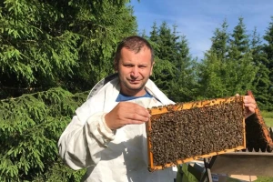 Dino Haračić: Nema lošeg meda, ako je proizveden onako kako nalaže dobra pčelarska praksa