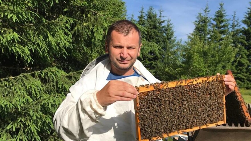 Dino Haračić: Nema lošeg meda, ako je proizveden onako kako nalaže dobra pčelarska praksa