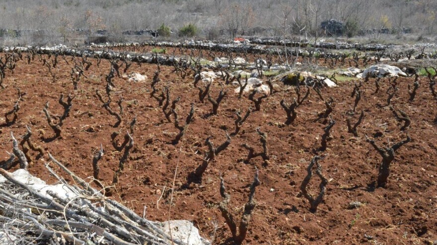 Poljoprivrednici, produžen je rok za prijavu na natječaj za podmjeru 5.2.