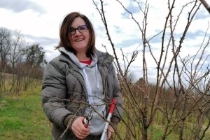 Divlja ruža iz Batrine - Angie's Rosehip