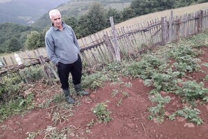 Divljač uništava usjeve, lov zabranjen, a uslovi za odštetu nerealni
