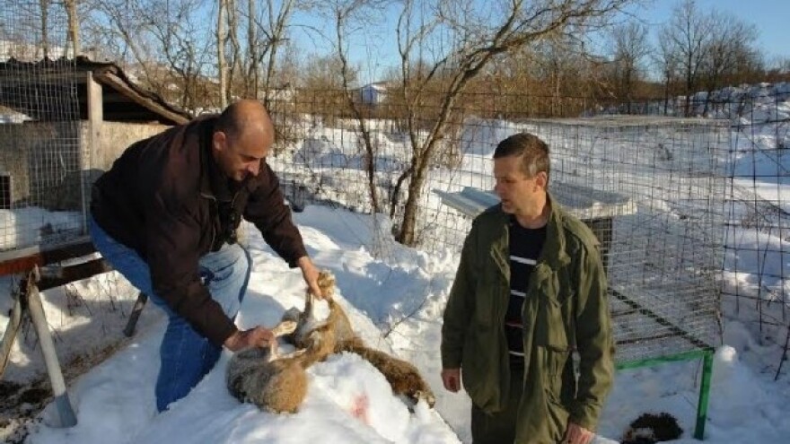 Umjesto kafića, izabrali smo poljoprivredu!