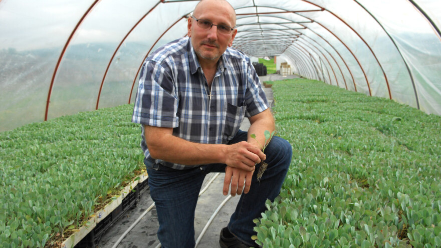 Jeste li već probali Ogulinsko kiselo zelje, jedno od naših prvih proizvoda zaštićenih na europskoj razini?
