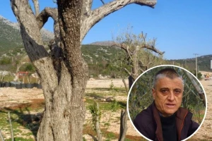 Lolo iz maslinarske prijestolnice BiH - Bakini kolači su dobri, ali ulje nije