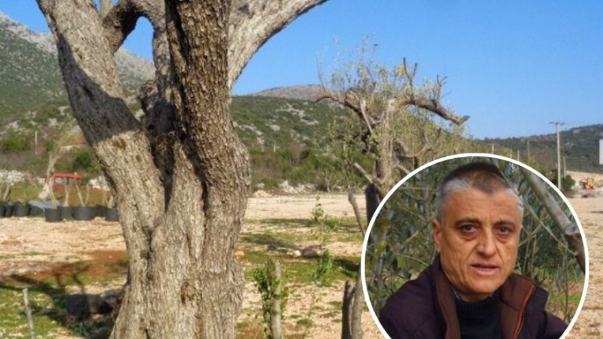 Lolo iz maslinarske prijestolnice BiH - Bakini kolači su dobri, ali ulje nije