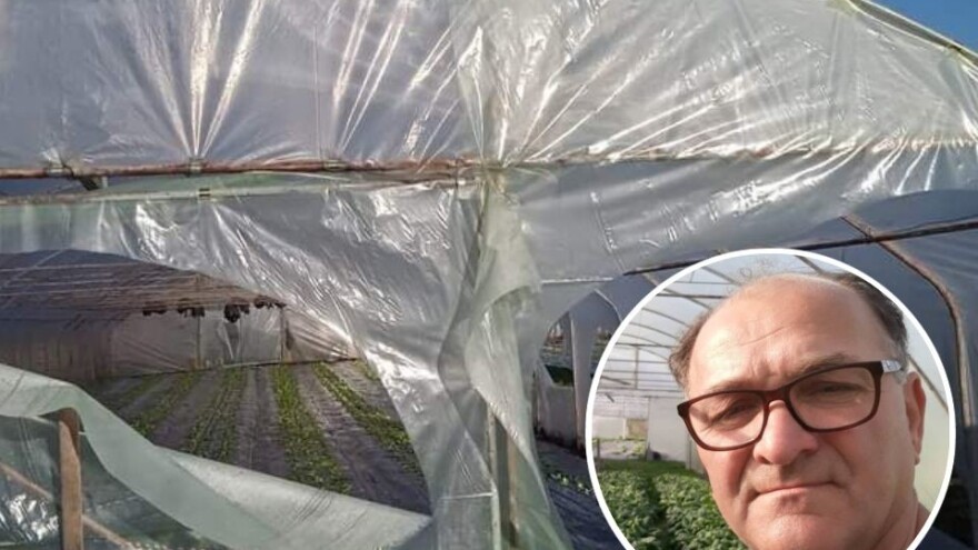 Isječeni najloni na plastenicima Zaima Karalića: Sve ti praštaju osim uspjeha