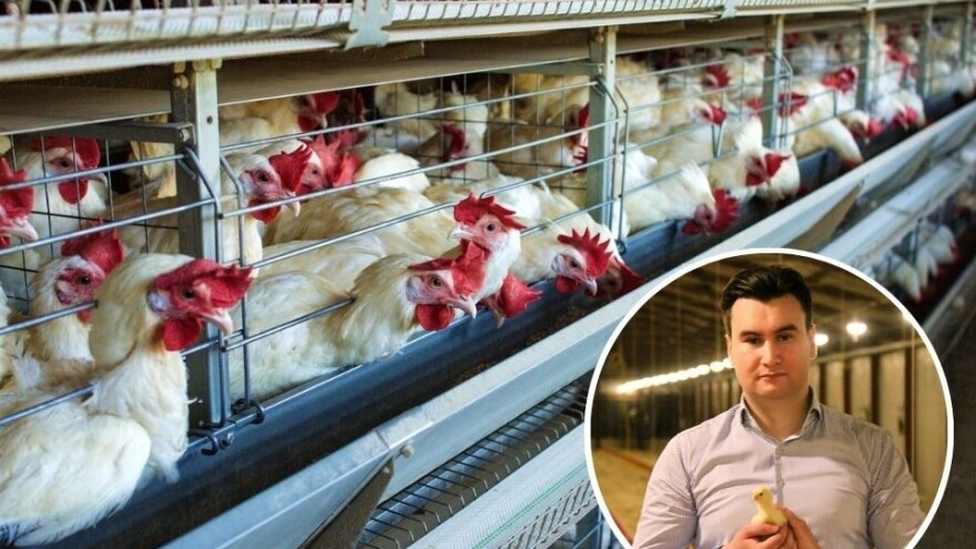 Novoizabrani predsjednik peradara: Nećemo biti još jedno u nizu "privatnih udruženja"