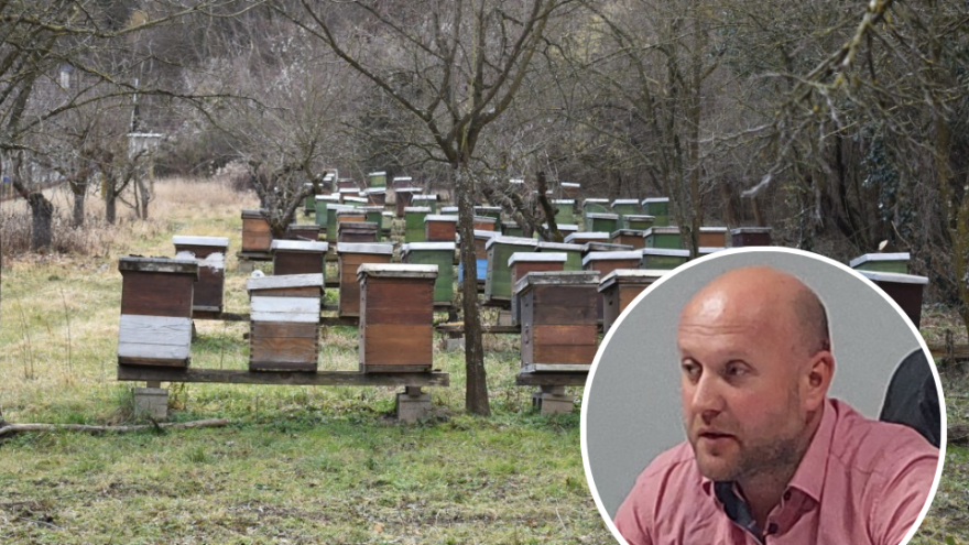 Edin Pašić je novi čelnik sarajevskih pčelara: U nezavidnom smo položaju
