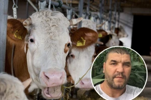 Savjetovanje za bh. farmere: Stižu "Veterinari bez granica"