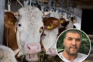 Savjetovanje za bh. farmere: Stižu "Veterinari bez granica"
