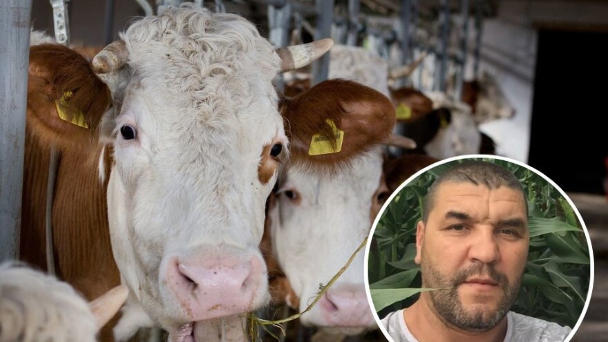 Savjetovanje za bh. farmere: Stižu "Veterinari bez granica"