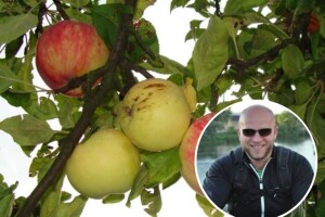 Zvijezda je hortikulture, a na djedovini čuva zaboravljene sorte voća