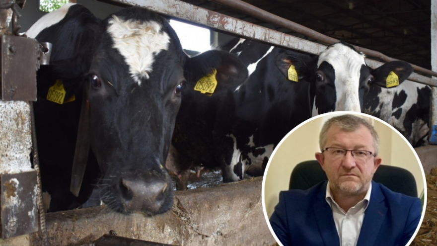 Upozorenje poljoprivrednika: Zbog enorminih poskupljenja, BiH prijeti pomor stočnog fonda