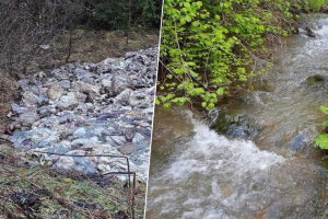 Umjesto u hranilice za divljač, lovci istresli iznutrice pored rijeke