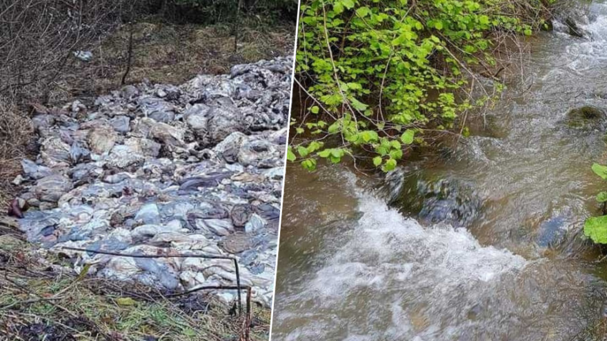 Umjesto u hranilice za divljač, lovci istresli iznutrice pored rijeke