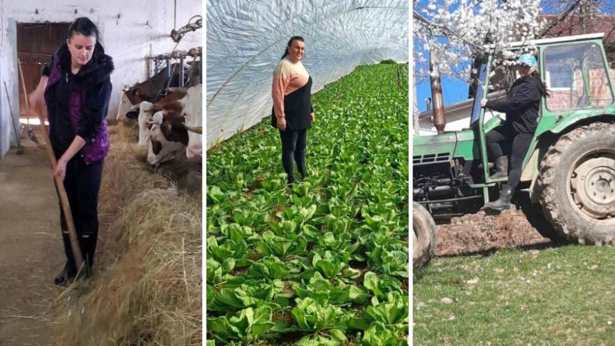 Finalno glasanje: Ko zaslužuje priznanje poljoprivrednice mjeseca?