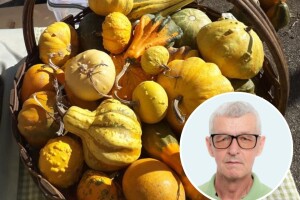 Od tikve do travarice kraljice - lufa za higijenu, sikavica za jetru