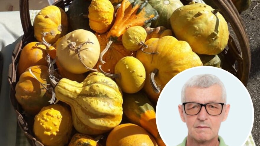 Od tikve do travarice kraljice - lufa za higijenu, sikavica za jetru