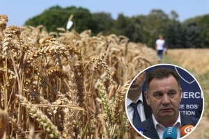 Hoće li Vlada FBiH ispoštovati svoje mjere - sutra odluka o otkupu pšenice?