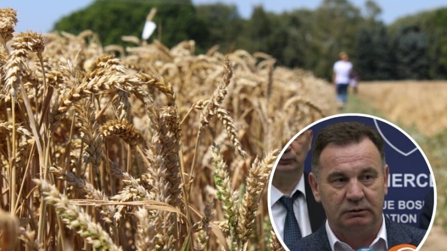 Hoće li Vlada FBiH ispoštovati svoje mjere - sutra odluka o otkupu pšenice?