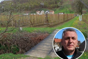 Neizvjesna sudbina podrinjskih malinara - cijene će biti niske?