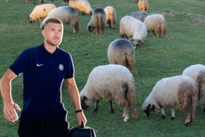 Edin Džeko čim završi s loptom: Za sve novce kupit ću ovce!