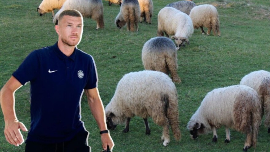 Edin Džeko čim završi s loptom: Za sve novce kupit ću ovce!