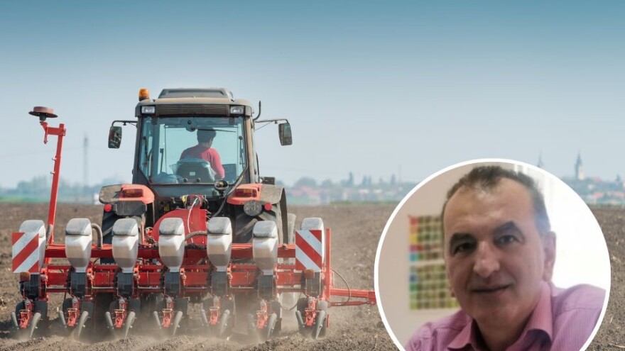 Koliko košta sjetva jednog hektara pšenice u BiH?