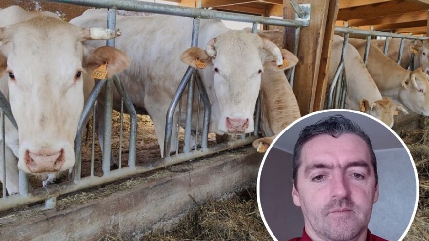 Bulut: Busaju se da su patriote - hrana uvozna, a na farmama katanci