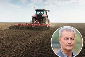 Najveći bh. farmer: Vozim traktor k'o da sipam u Poršea, meso će tek biti luksuz