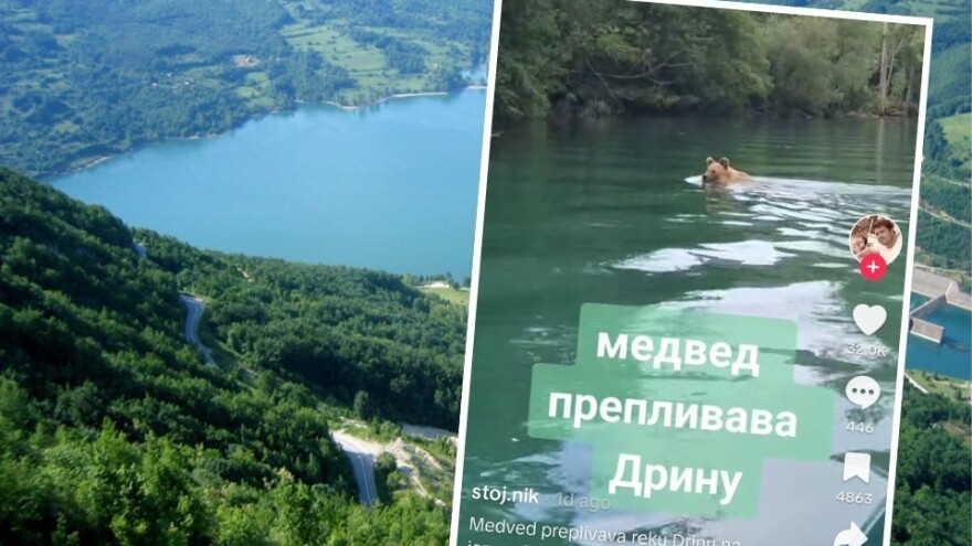 "Komšija, a pasoš'" - medved preplivava Drinu