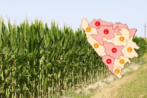 Novi toplotni val ugrozit će mahunarke, soju, suncokret i kukuruz