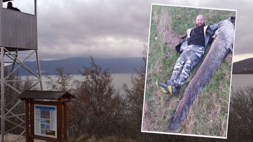 Padaju rekordi na Buškom jezeru: Somovi veći od dva metra