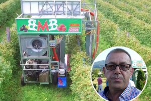Laštrin BMB mijenja 60 berača malina: Prikači, upali i vozi