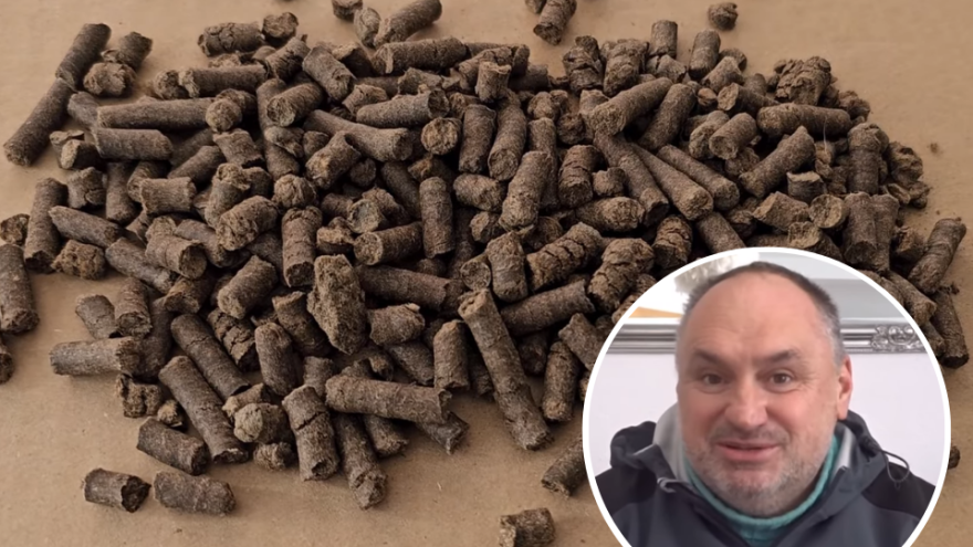 Nijemac zacijenio mašinu, pa je Bosanac sam napravio: Proizvodi gnojivo od ovčije vune