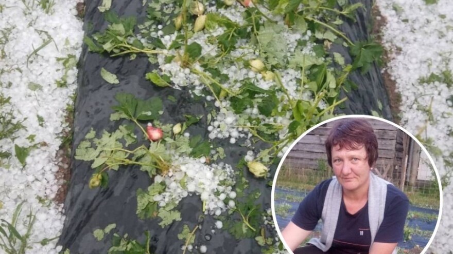 Mještani sela Boljkovac i Dobrošin plačući obišli usjeve: Sve je uništeno